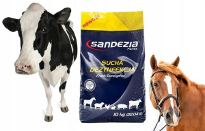 SANDEZIA Preparat do Suchej Dezynfekcji 10kg
