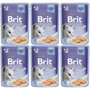 Brit Cat Pouch Jelly Fillets with Salmon 6x85g
