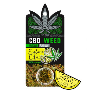 Susz konopny CBD Citric 0,7g Euphoria