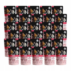 PETREPUBLIC dla kota filet z łososia 100g x 30
