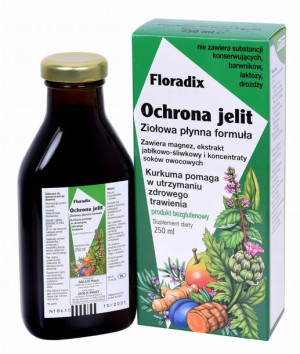 Floradix Ochrona Jelit płyn 250 ML