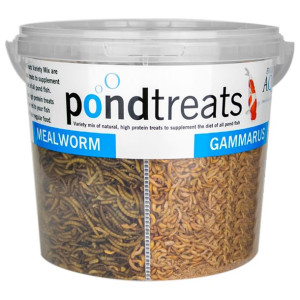 Evolution Aqua Pondtreats 4in1 - Karma Mix Dla Ryb Oczko Wodne 6l