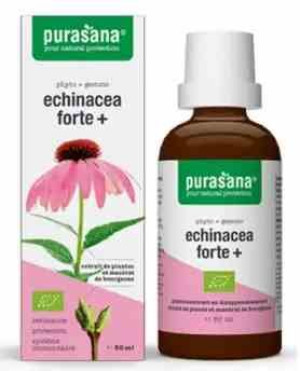 Echinacea Forte (jeżówka Purpurowa) Krople Bio 50 Ml - Purasana