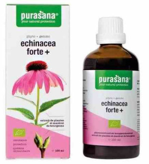 Echinacea Forte (jeżówka Purpurowa) Krople Bio 100 Ml - Purasana