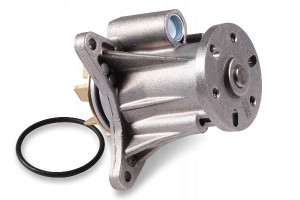 HEPU P2623 Pompa wodna