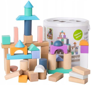 Drewniane Klocki 50 Szt Wiaderko + Sorter Ecotoys