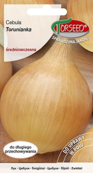 Torseed Cebula Średnio Wczesna Torunianka 5 G