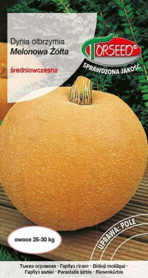 Torseed Nasiona Dynia Olbrzymia Średnio Wczesna Melonowa Żółta 5 G