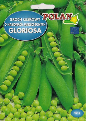 Polan Nasiona Groch Siewny Łuskowy Gloriosa 40g