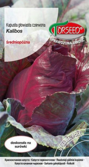 Torseed Nasiona Kapusta Głowiasta Średnio Późna Czerwona Kalibos 0,5 G
