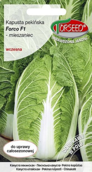 Torseed Nasiona Kapusta Pekińska Wczesna Forco F1 0,5 G