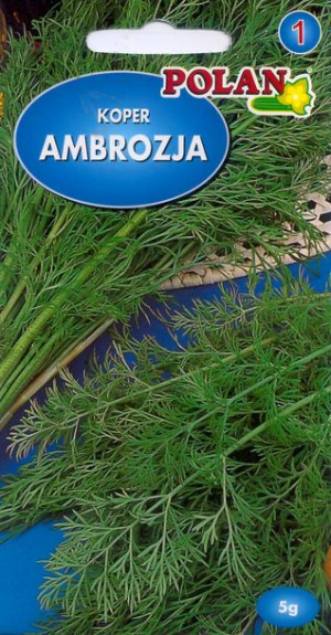 Polan Nasiona Koper Ogrodowy Ambrozja 5g