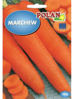 Polan Nasiona Marchew Jadalna Późna Flakkese 2 50g