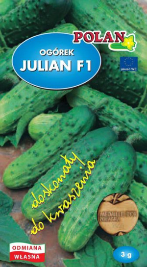 Polan Nasiona Ogórek Gruntowy Julian F1 3g