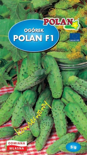 Polan Nasiona Ogórek Gruntowy Polan F1 3g
