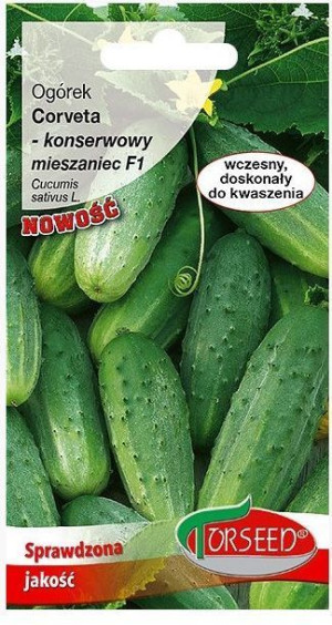 Torseed Nasiona Ogórek Gruntowy Corveta F1 3g