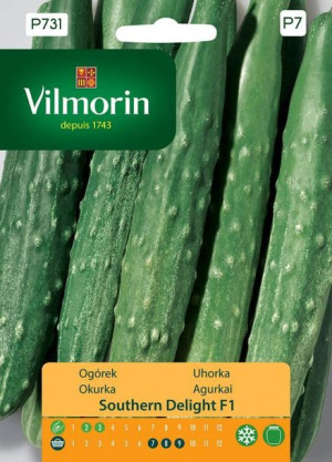 Vilmorin Nasiona Ogórek Southern Delight F1 1 G