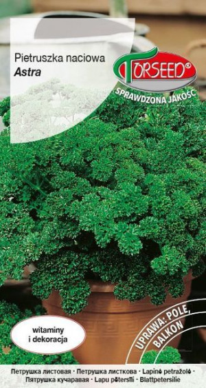 Torseed Nasiona Pietruszka Naciowa Kędzierzewa Astra 1 G