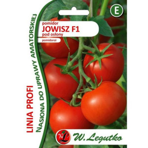 Legutko Nasiona Pomidor Pod Osłony Jowisz F1 30 Nasion