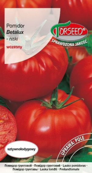 Torseed Nasiona Pomidor Gruntowy Karłowy Niski Wczesny Betalux 0,2 G