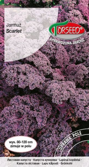 Torseed Nasiona Jarmuż Czerwony Scarlet 1 G