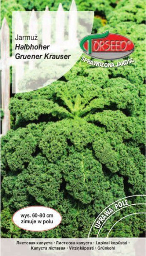 Torseed Nasiona Jarmuż Halbhoher Gruener Krauser 1 G