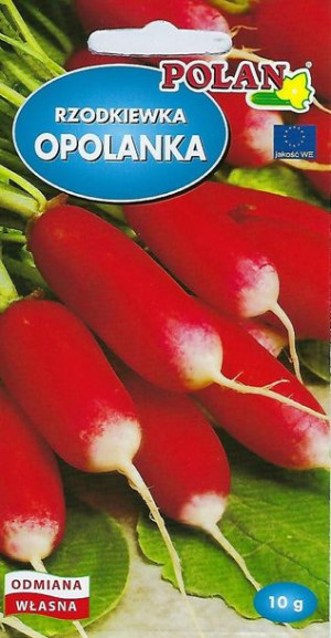 Polan Nasiona Rzodkiewka Opolanka 10g