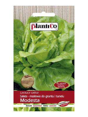 Plantico Nasiona Sałata Gruntowa Masłowa Modesta 1g
