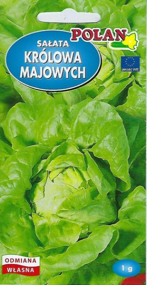 Polan Nasiona Sałata Gruntowa Głowiasta Masłowa Królowa Majowych 1g