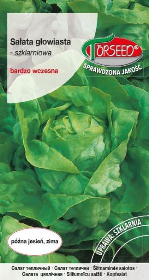 Torseed Nasiona Sałata Szklarniowa Wczesna Anielka 1 G
