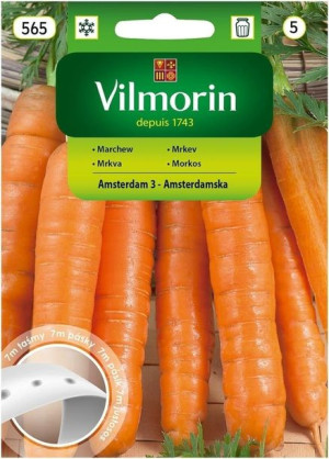 Vilmorin Nasiona Marchew Wczesna Amsterdam 7m Taśma