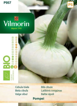Vilmorin Nasiona Cebula Biała Pompei Bio 2 G