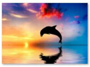 HAFT Diamentowy MOZAIKA DELFIN 40x30 cm Zestaw 5D