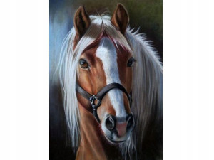 HAFT Diamentowy MOZAIKA KOŃ 30x40 cm Zestaw 5D