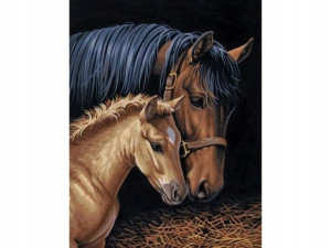 HAFT Diamentowy MOZAIKA KONIE 30x40 cm Zestaw 5D