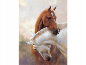 HAFT Diamentowy MOZAIKA KONIE 30x40 cm Zestaw 5D