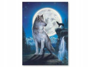 HAFT Diamentowy MOZAIKA WILK 30x40 cm Zestaw 5D