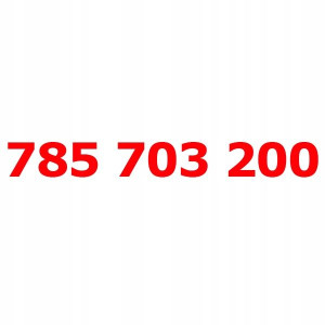 785 703 200 Złoty łatwy numer PLUSH PLUS STARTER