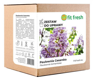 Zestaw do Uprawy  Paulownia cesarska DRZEWO TLENOWE