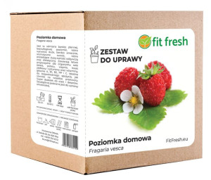 Zestaw do Uprawy POZIOMKA DOMOWA BARON VON SOLEMAC