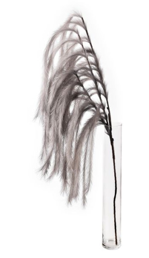 MOA Gałązka PAMPAS 125cm szara