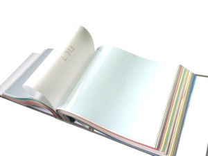 Folia błyszcząca z systemem harpun kolor L313 (sufit napinany)