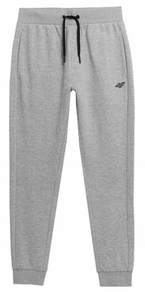 Męskie Spodnie Dresowe 4f Ss23 Trom223 27m Xxxl