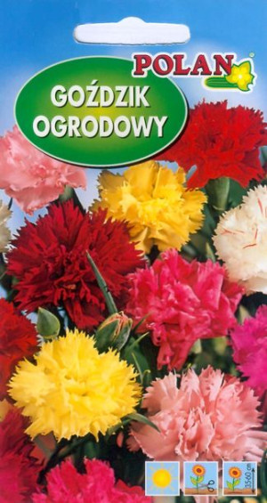 Polan Nasiona Goździk Ogrodowy Grenadin Mix 1 G