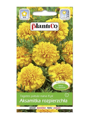 Plantico Nasiona Aksamitka Rozpierzchła Żółta 1 G