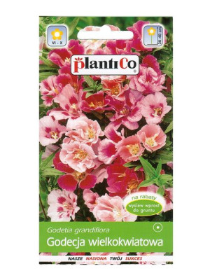 Plantico Nasiona Godecja Wielkokwiatowa 1 G