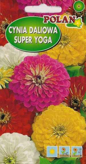 Polan Nasiona Cynia Daliowa Super Yoga Mix 1 G