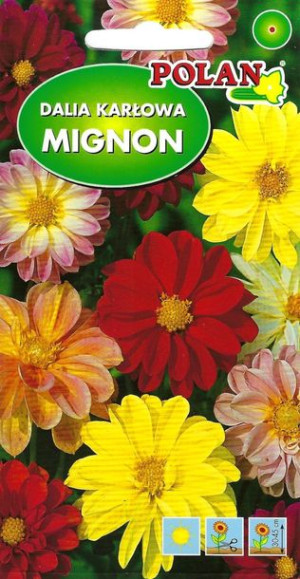Polan Nasiona Dalia Mignon Mix 2 G