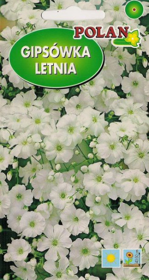 Polan Nasiona Gipsówka Letnia Biała 2 G
