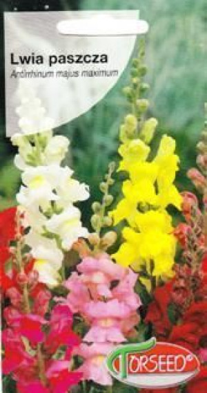 Torseed Nasiona Lwia Paszcza Mix 1 G